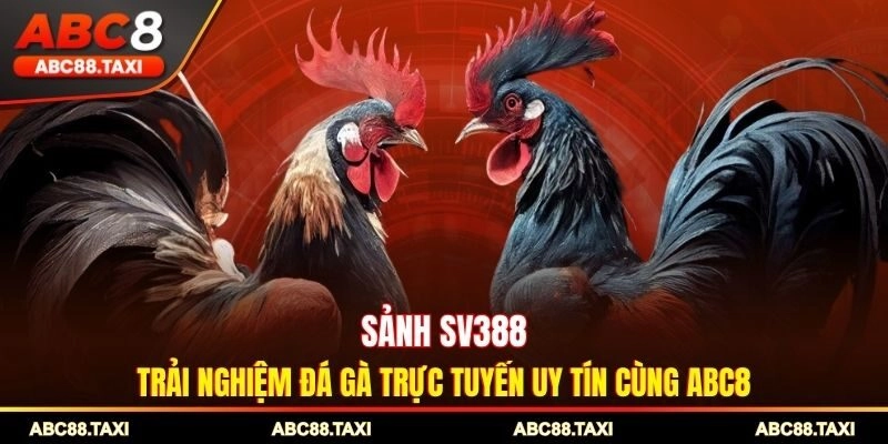 Sảnh SV388 - Trải Nghiệm Đá Gà Trực Tuyến Uy Tín Cùng