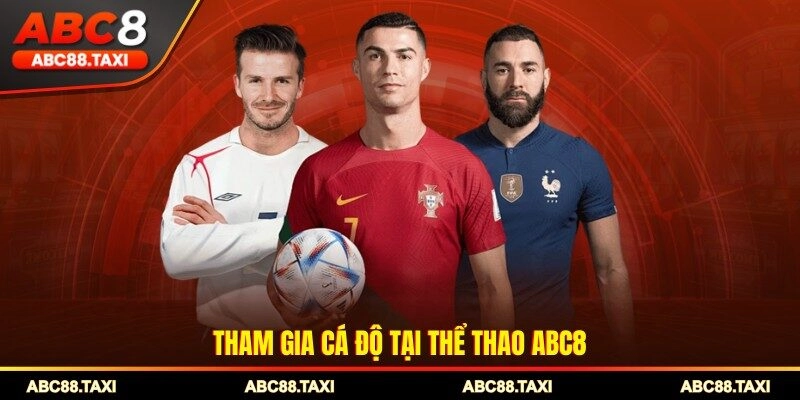 Tham gia cá độ tại Thể thao ABC8