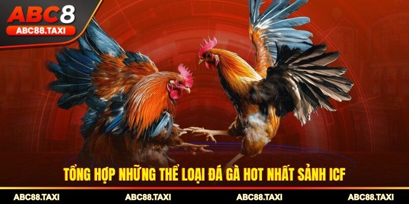 Tổng hợp những thể loại đá gà hot nhất sảnh ICF
